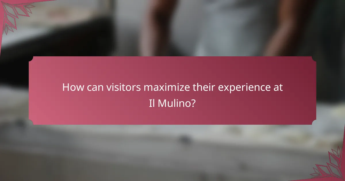 How can visitors maximize their experience at Il Mulino?
