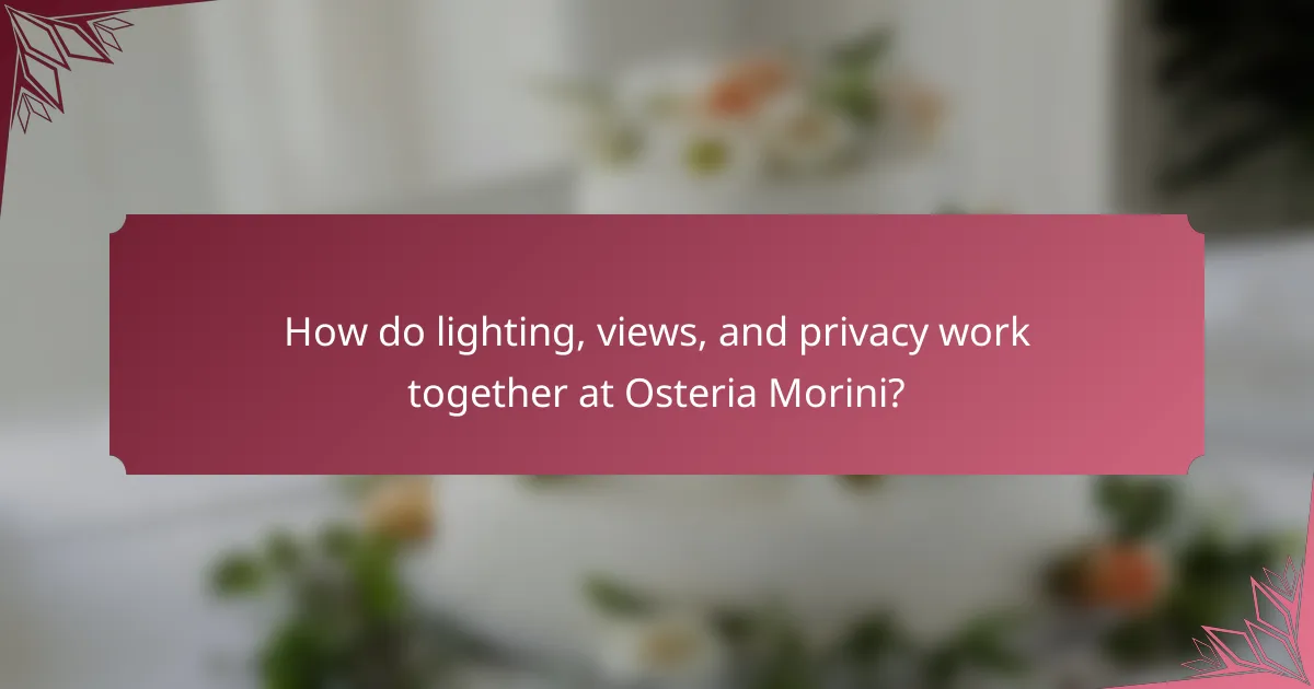 How do lighting, views, and privacy work together at Osteria Morini?