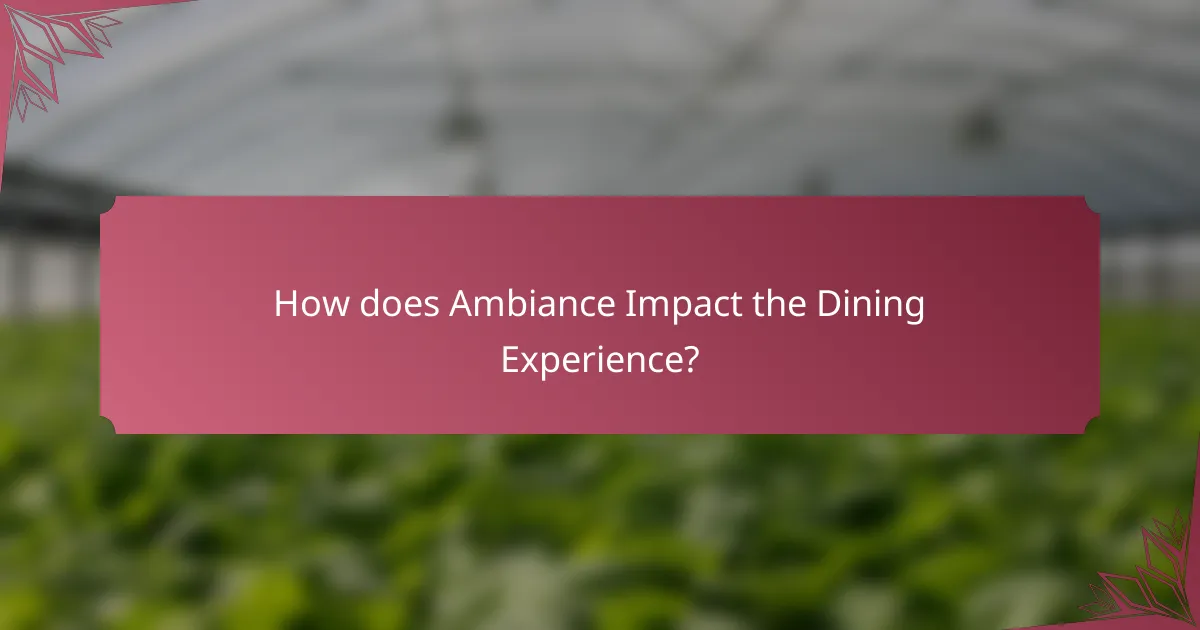How does Ambiance Impact the Dining Experience?