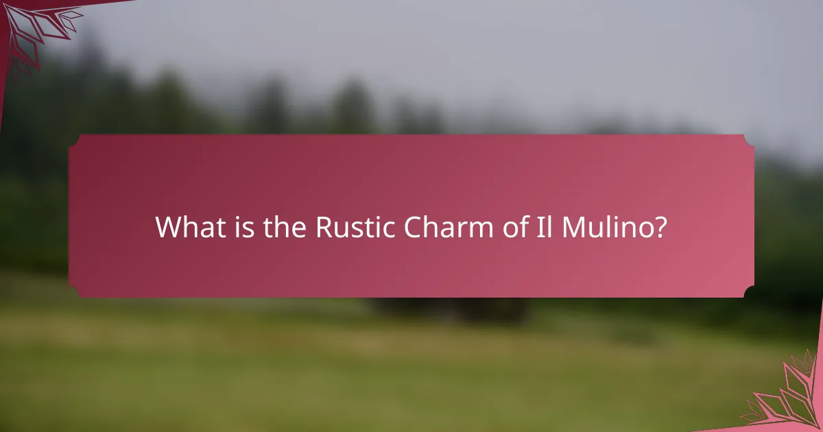 What is the Rustic Charm of Il Mulino?